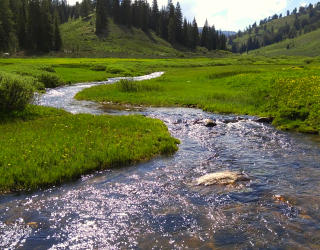 Eagle Point Land For Sale - Beaver Utah 