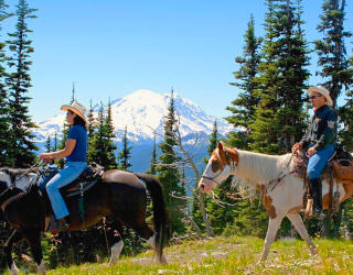 Eagle Point Land For Sale - Beaver Utah 